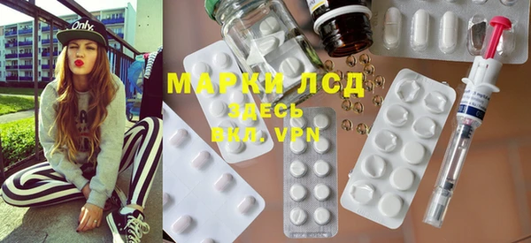 spice Бородино