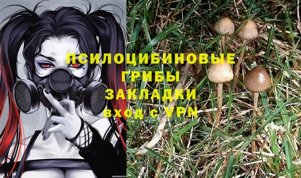 прущая мука Рославль